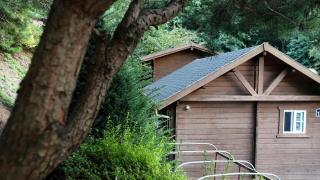 Sobaeksan Log Pension - Danyang - 8