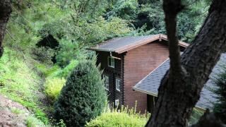 Sobaeksan Log Pension - Danyang - 6