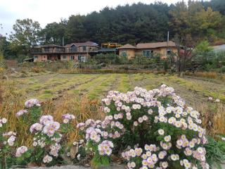 Red Clay Pension Dream Conversation - 6