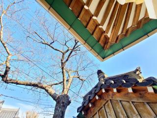 Gyeongju Staybukgun - Gyeongju - 6