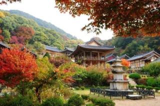 Seonbichon Lake Pension - Yeongju - 5