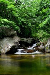 Seonbichon Lake Pension - Yeongju - 6