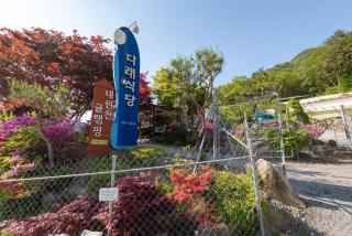 Inje Naerincheon Glamping - Inje - 1