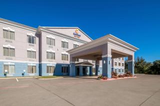 Comfort Suites Roanoke - Fort Worth North - Roanoke - 3
