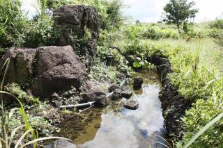 Sharon Gospel Pension - 8