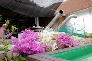 Hill House Pension - 1