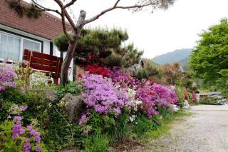 Hill House Pension - Inje - 2