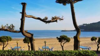 Taean The sea side Pension - 7