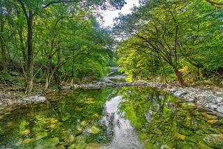 Muju camping Caravan - Samgong - 2