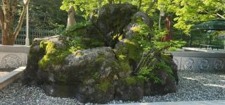Pocheon Park Hotel - Seongju - 5