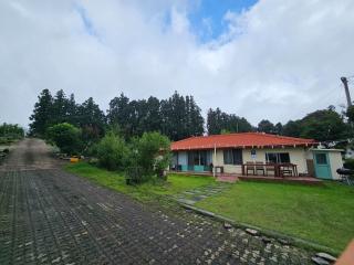 Saewatdaek Stay 1st branch - Seogwipo - 5