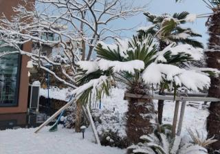 Seogwipo Wimiga Yeon - 5