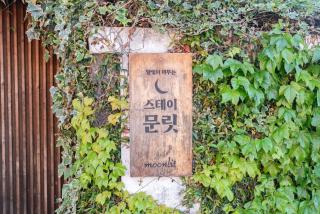 Jeju Mullitdokchae Pool Villa - 6