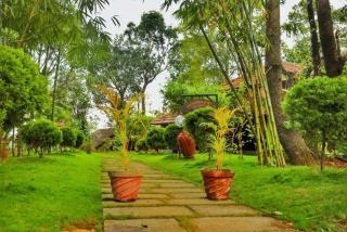 Vattakkuny Wild Orchid Resorts - Thirunelli - 0