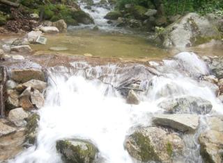 Osakae Anteo Mulraebang-a Pension - 1