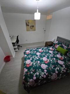 Spacious Double room 2 - Nottingham - 0