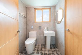 Yangpyeong Green Clover - 3