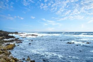 Pohang Uni’s Sea Caravan Homigot Branch - Pohang - 2