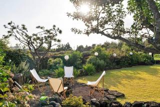 Chungsoo Inn - Jeju - 3