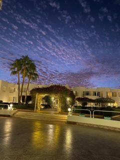 Sharm Reef Hotel - Sharm el Sheikh - 8