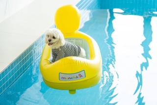 Mungs Club Pet friendly Pool Villa - Taean - 0