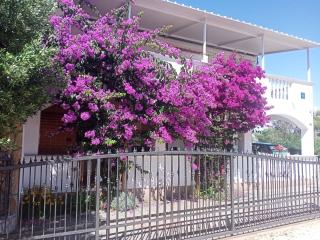 Apartments Marijan - Drage - 4