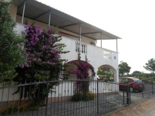 Apartments Marijan - Drage - 2