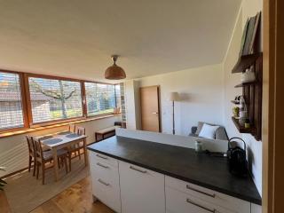 Apartment Steinernes Meer - Saalfelden am Steinernen Meer - 8
