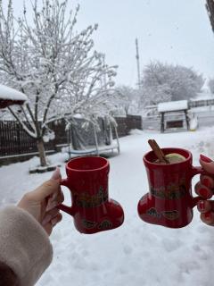 Cabana Rustica Georgeta - Zărneşti - 8