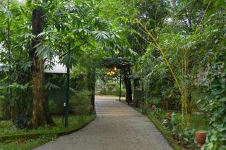 seventhkey clouds pool villa - Vythiri - 5