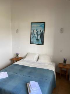 PARAÍSO DA SERVA - Casas Courela da Serva e Flor do Rosto I e II - 8