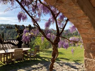 Mas de la Giralde - Bed and Breakfast - Payzac - 4