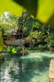 Ulaman Eco Luxury Resort - 1