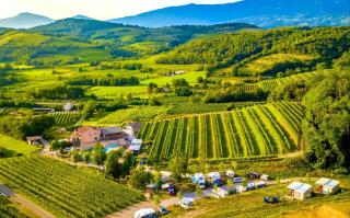 Saxida Wine & Camping Resort Pitches - Dornberk - 0