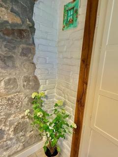 Amuma Justina Etxea , Apartamento en casco antiguo - Bermeo - 2