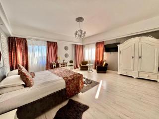 Hotel Helin Aeroport - Craiova - Craiova - 7