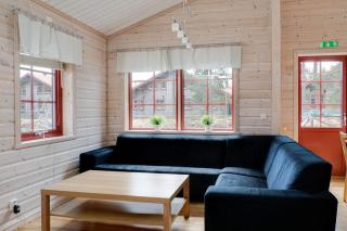 Pets OK | Ski-in/out | Ski shed | Wood stove | TV - 6