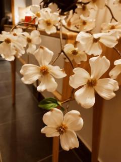 La Feclaz - Duplex 90m2 au pied des pistes - Les Déserts - 7