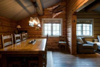 Wi-Fi | Grill | Pets allowed | Drying cabinet - Lofsdalen - 6