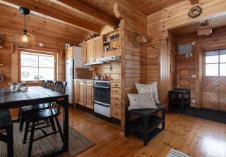 Ski-in/Ski-out | Sauna | Pets allowed | Terrace - Lofsdalen - 2