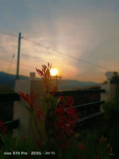 The NEST - Vagamon - 1