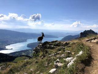 Beautiful T2 - Mountain view - Lake 5 min walk - Sevrier - 8
