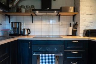 Sauna | WiFi | Fireplace | Pets allowed - Lofsdalen - 6