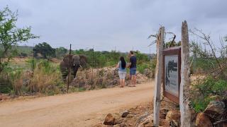 Croc's Nest Bush Lodge - Marloth Park - 2