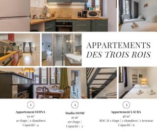 Les Appartements des 3 rois - Romorantin - 0