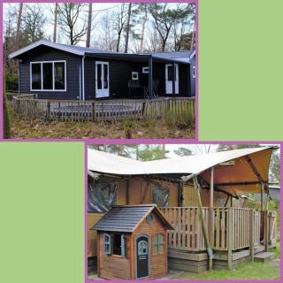 Chalet & Glamping Ons plekje in het bos - Beekbergen - 1