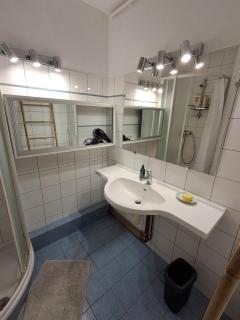 Appartement T4 Lyon 9 - Lione - 1
