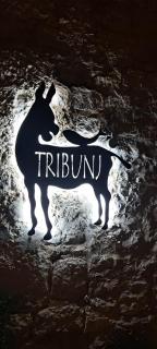 Apartments Jareb - Tribunj - 3