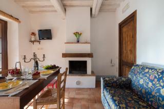 Il Colle - Le Viti & Olivo Apartments - Arezzo - 4