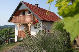 Rebenchalet - Sankt Anna am Aigen - 7